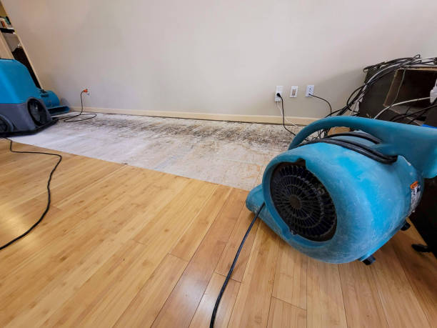 Professional Structural Drying technician working in Palo, MI